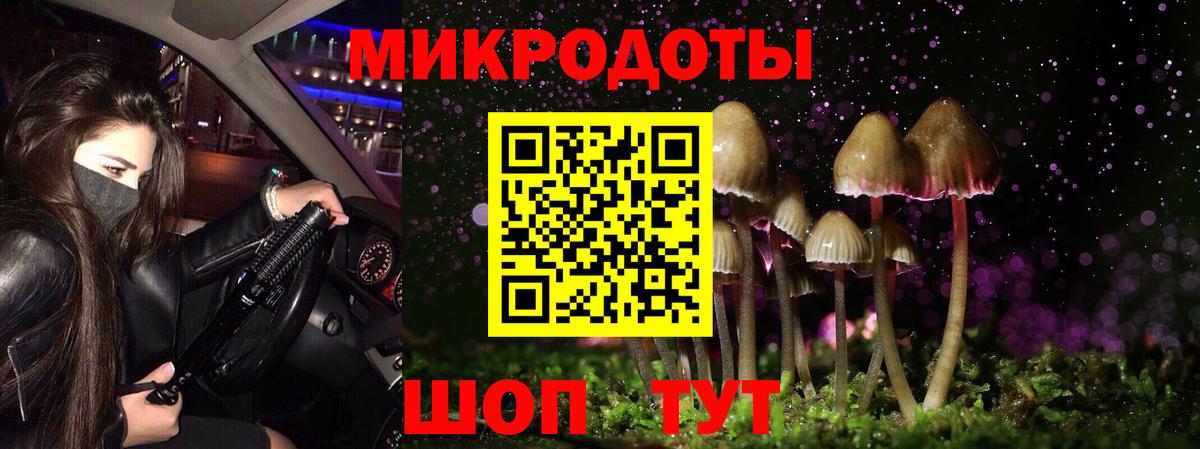 Галлюциногенные грибы Psilocybine cubensis Нальчик